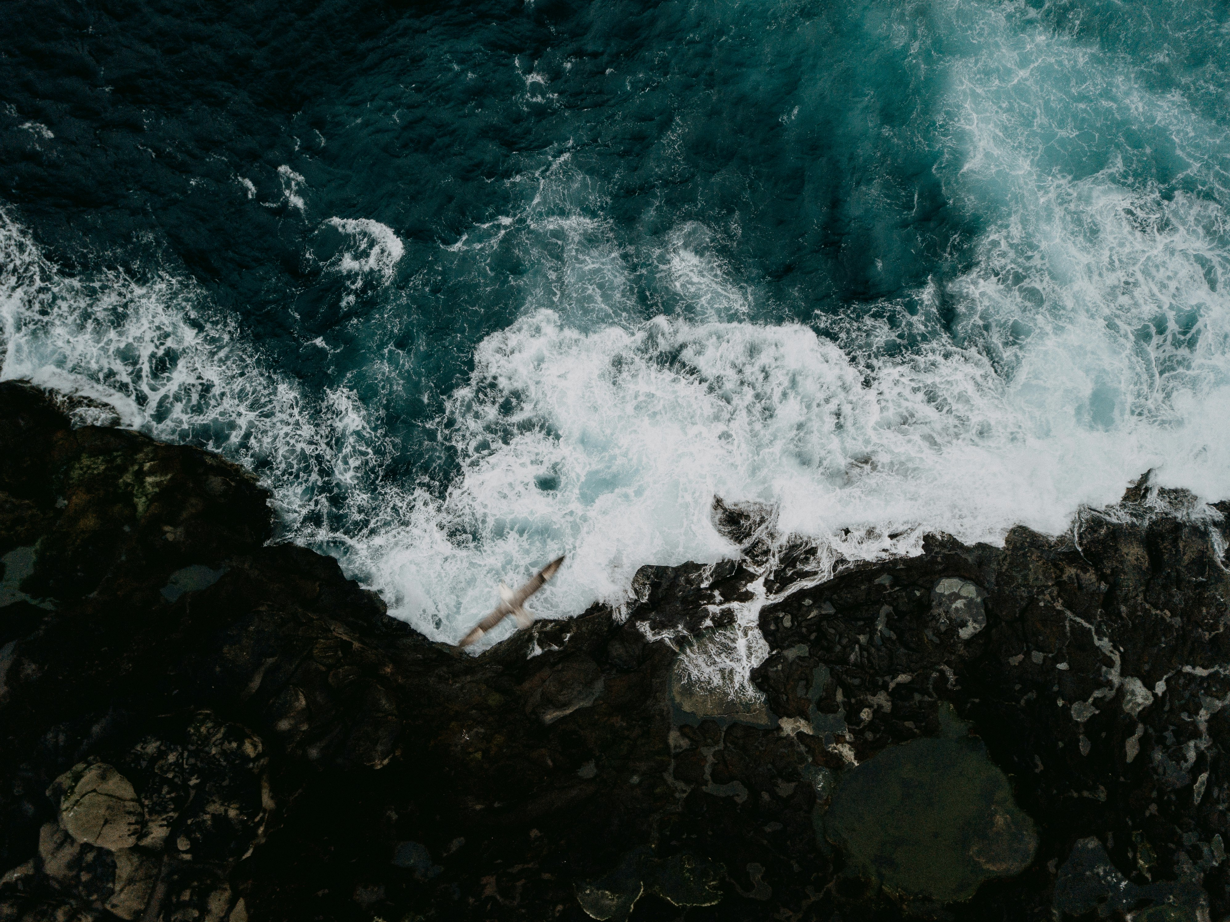 ocean waves crashing on rocks during daytime